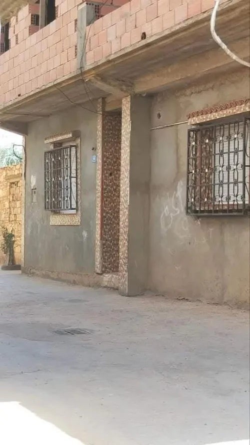 Vente Terrain Tiaret Ain bouchekif