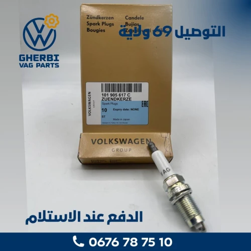 Bougie d'Allumage Moteur 1.4 - 101905617C (VW - Seat - Audi - Skoda)