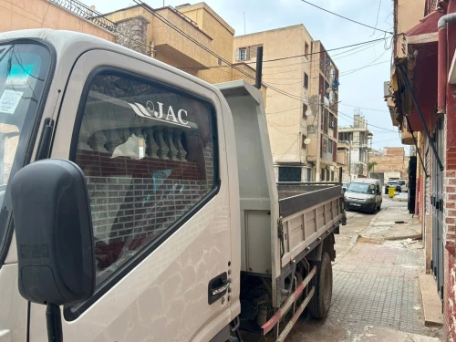 JAC Camion 2024
