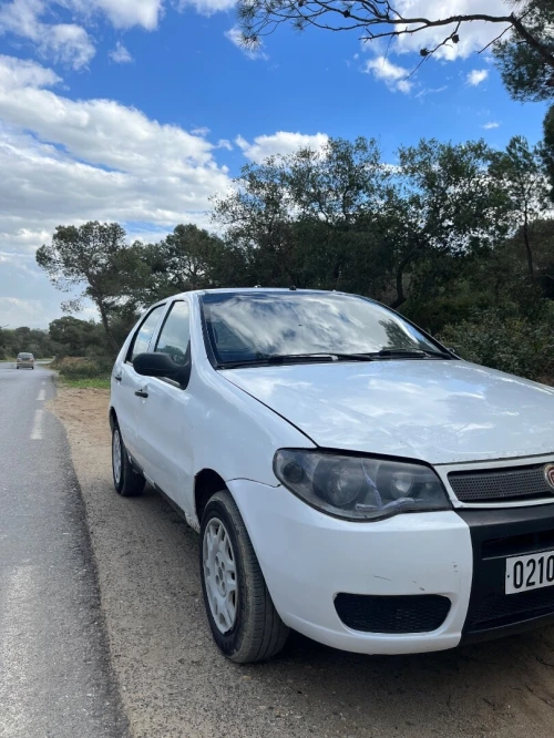 Fiat Palio 2008 Fire