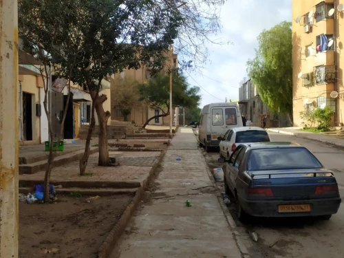Location Local Sidi Bel Abbès Sidi bel abbes