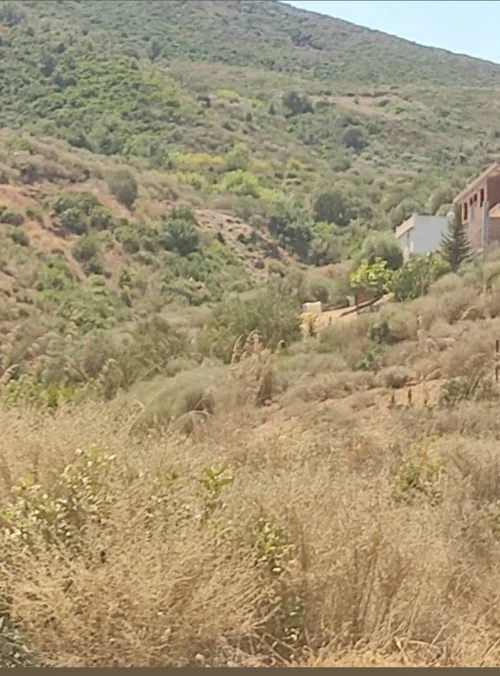 Vente Terrain Béjaïa Beni ksila