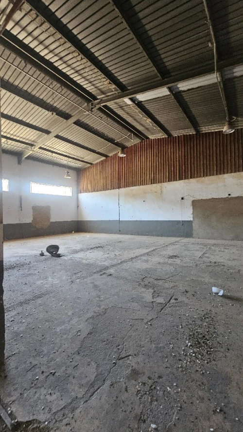 Location Hangar - Usine Oran Oran