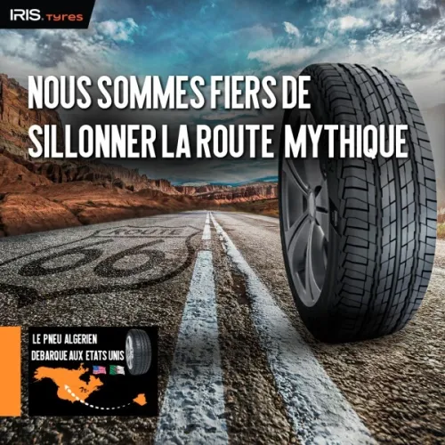 2 pneus IRIS tres bon etat