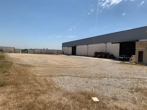 Location Hangar Alger Sidi moussa