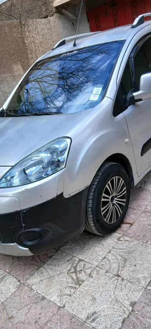 Peugeot Partner 2008 Partner