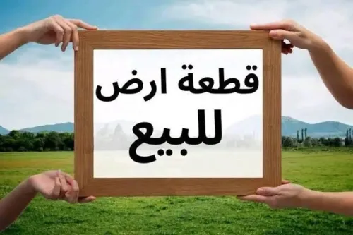 Vente Terrain Tlemcen Beni mester