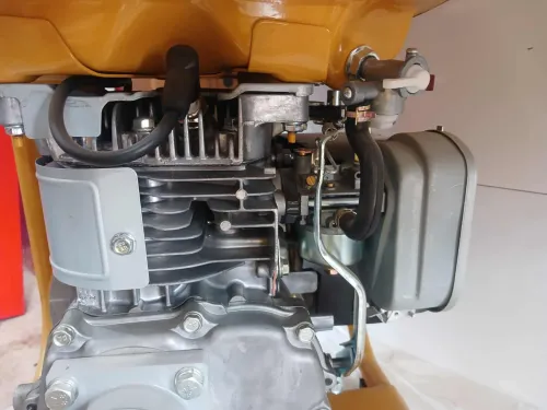 VIBREUR MOTEUR ESSENCE 5.0 Hp ROBEN TRISUN 