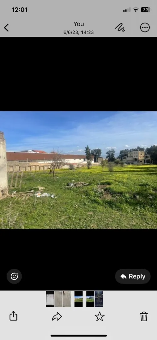Vente Terrain Alger Birtouta