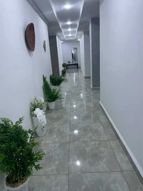 Location Appartement F3 Alger Cheraga