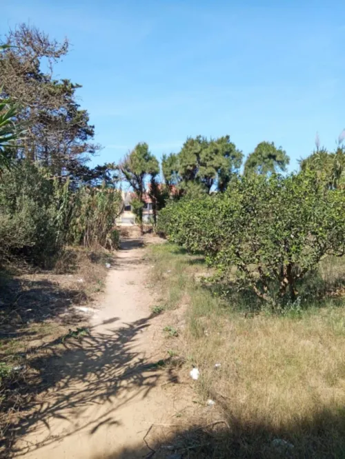 Vente Terrain Agricole Alger Staoueli