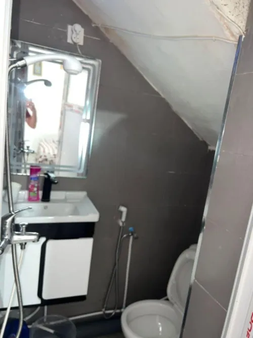 Location Appartement Studio Alger Dely brahim