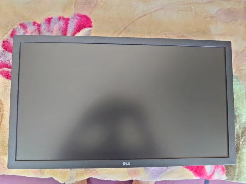 lg 22mp410