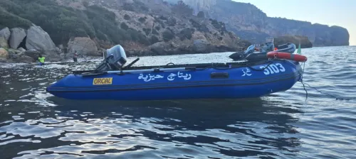 Zodiac 3m80 avec moteur suzuki 9.9 remorque