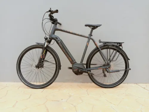 Vélo électrique Bosch Riverside