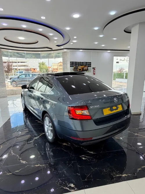 Skoda Octavia 2019 Clever