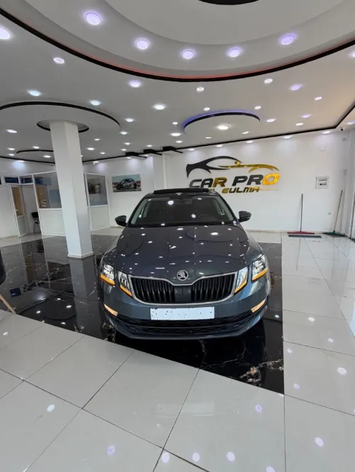 Skoda Octavia 2019 Clever