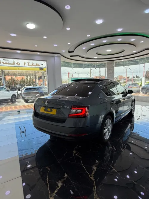 Skoda Octavia 2019 Clever