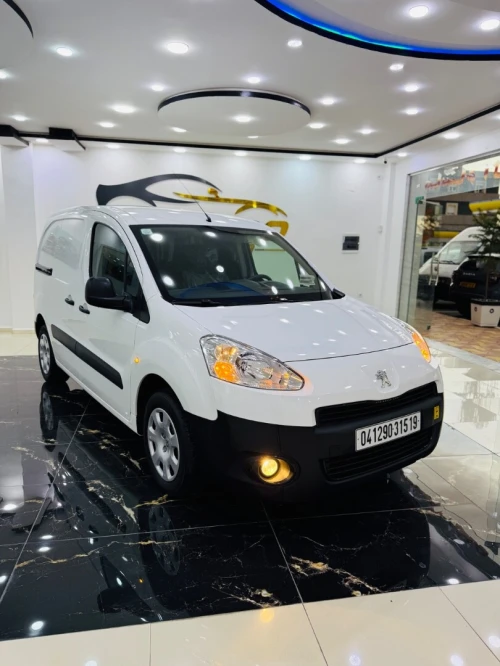 Peugeot Partner 2015 P9