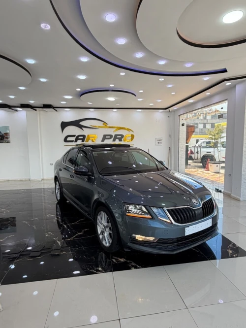 Skoda Octavia 2019 Clever