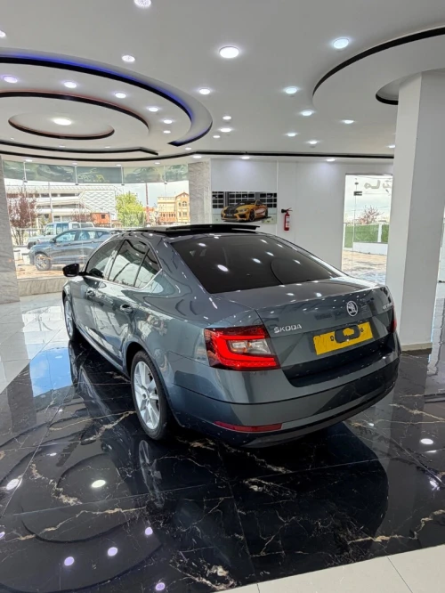 Skoda Octavia 2019 Clever