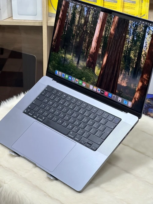 MACBOOK PRO RETINA 16 2023 M2 Max 32GO 2TO SSD CYCLE 29