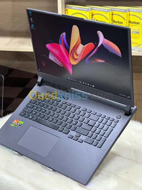 ASUS ROG STRIX G17 G713PV AMD RYZEN 9 7845HX 32GO DDR5X 1TO SSD NVIDIA GEFORCE RTX4060 8GO GDDR6