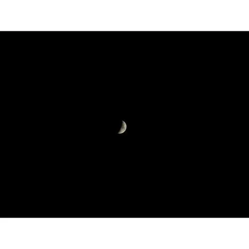Nikon COOLPIX P1100 Zoom 250x 24-3000mm UHD 4K