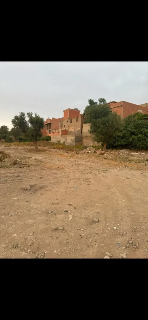 Vente Terrain Tlemcen Tlemcen