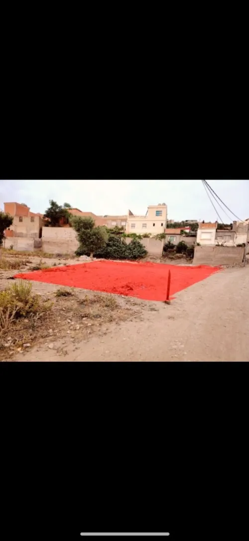 Vente Terrain Tlemcen Tlemcen