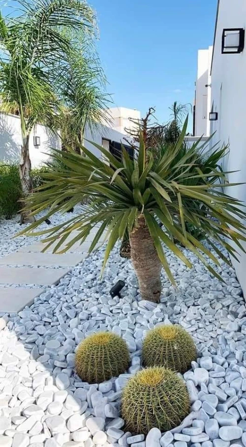 LES PISCINES  مسابح منزلية
