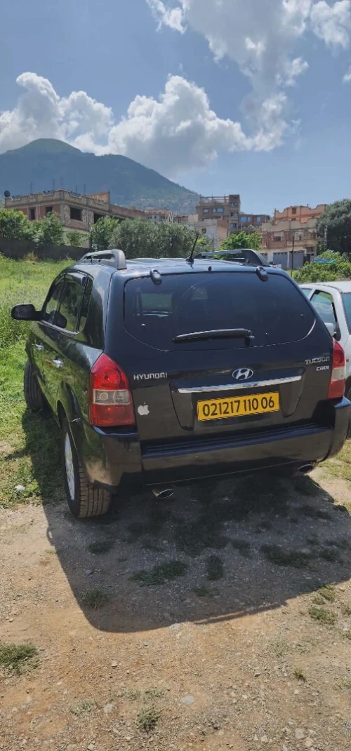 Hyundai Tucson 2010 Tucson