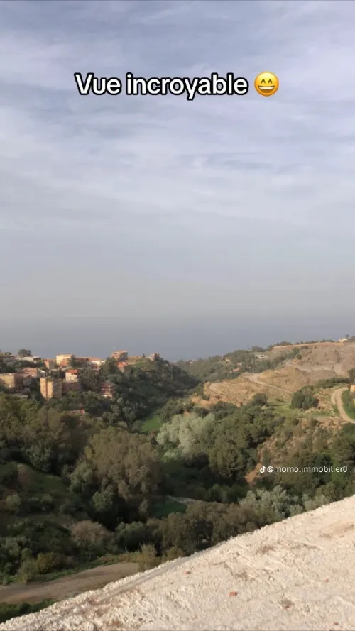Vente Appartement Alger Bouzareah
