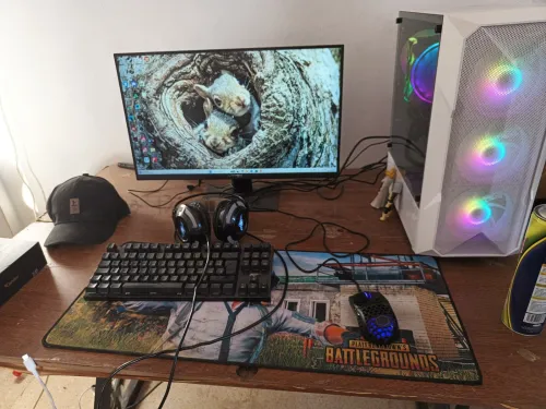 Pc gamer