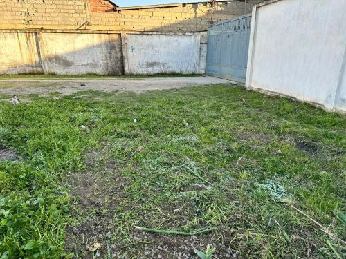 Vente Terrain Alger Bordj el kiffan