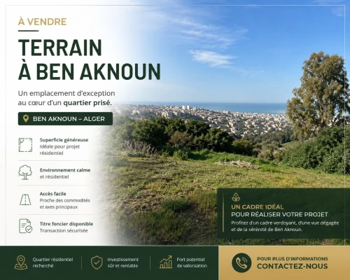 Vente Terrain Alger Ben aknoun