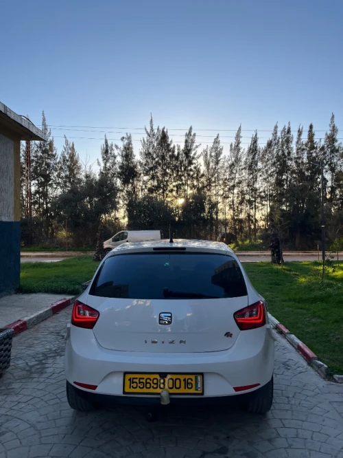 Seat Ibiza 2011 Loca