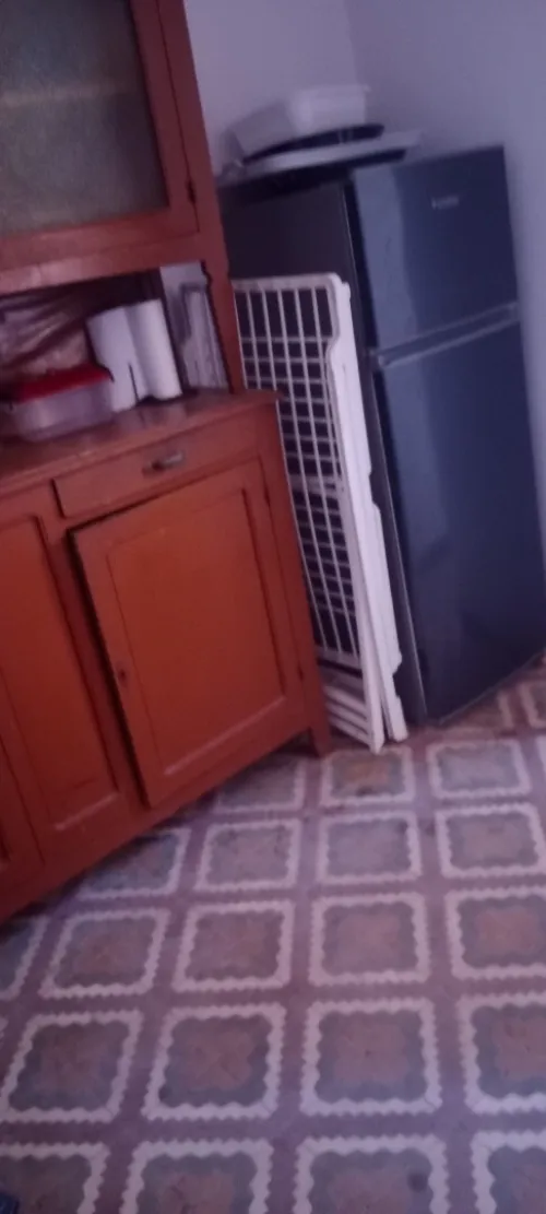 Location Appartement F2 F3 F4 Aïn Témouchent Beni saf