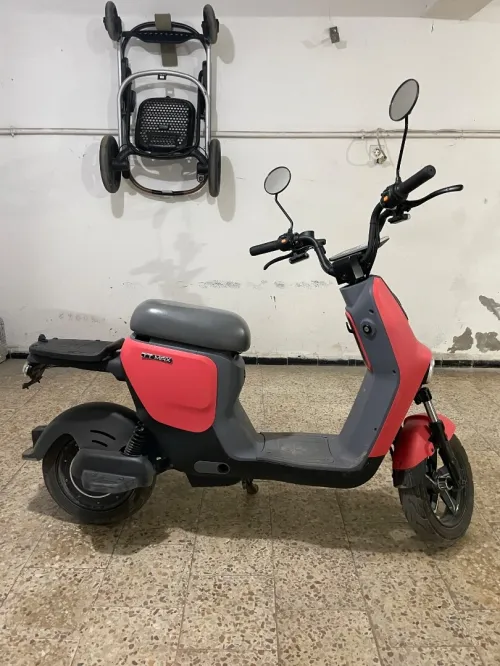 TT max Mimebot 2024