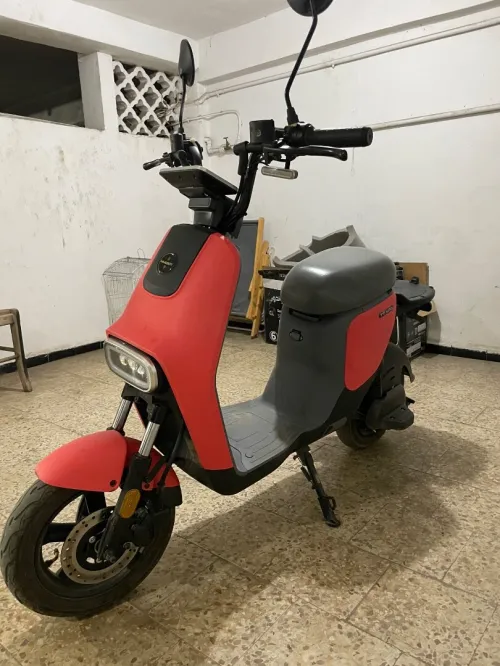 TT max Mimebot 2024