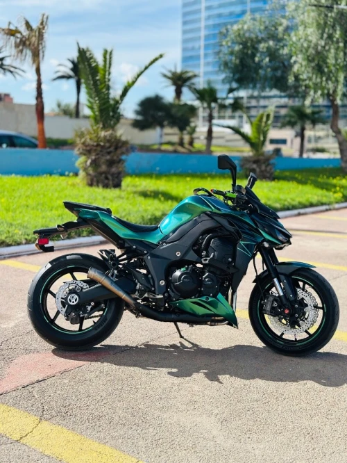 Kawasaki Z1000 2019