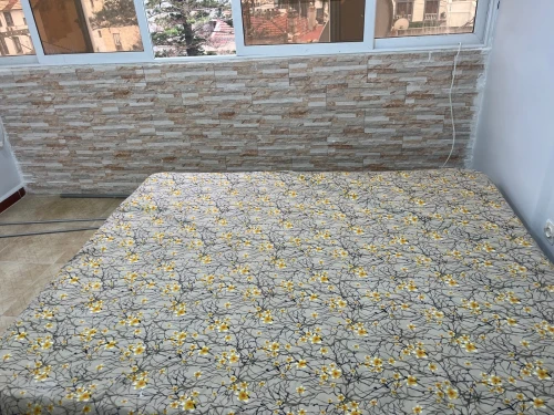 Location Appartement F2 Alger Sidi mhamed
