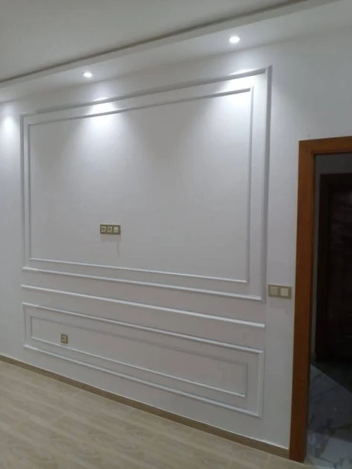 Peintre professionnel  Artiste peintre