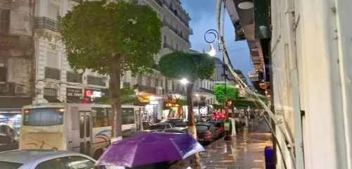 Location Local Alger Alger centre