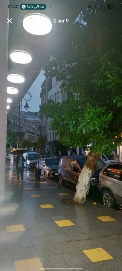 Location Local Alger Alger centre