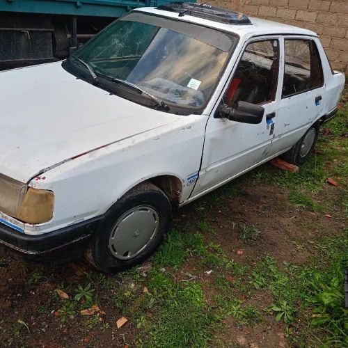 Peugeot 309 1989 309