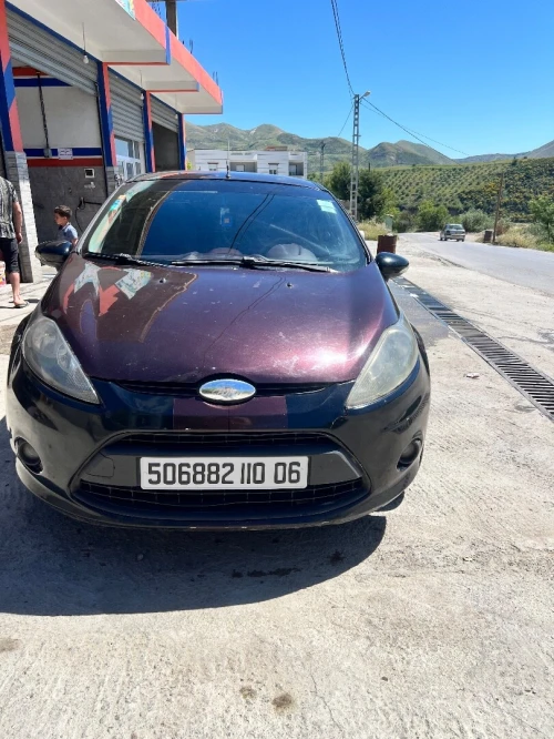 Ford Fiesta 2010 Fiesta