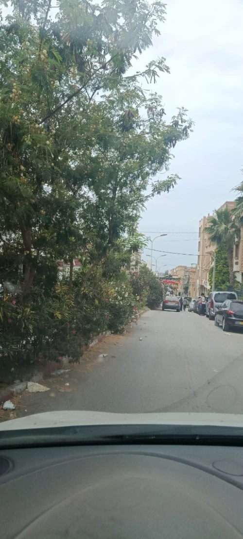 Location Local Alger Ouled fayet