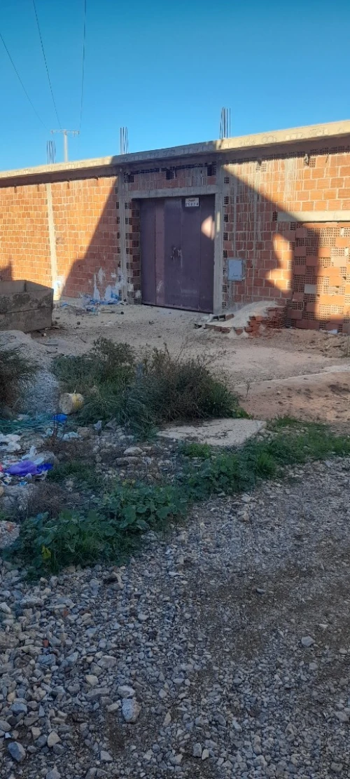 Vente Hangar - Usine Tlemcen Souahlia