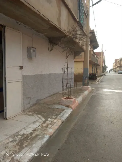 Vente Villa Tiaret Frenda